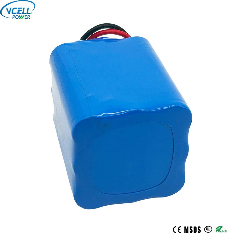 9.6V 6000mAh IFR18650 LiFePo4 Battery Pack